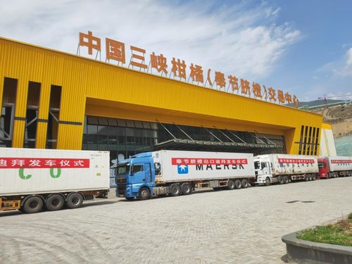 金 橙 飄香拓 眼 界 重慶奉節(jié)品牌添 翼 ,促產(chǎn)業(yè)煥發(fā)新機鳳凰網(wǎng)重慶