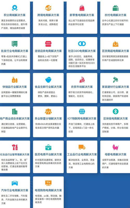 開發(fā)定制商城比較好的公司